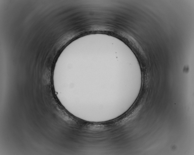 X0000101680833200808071107