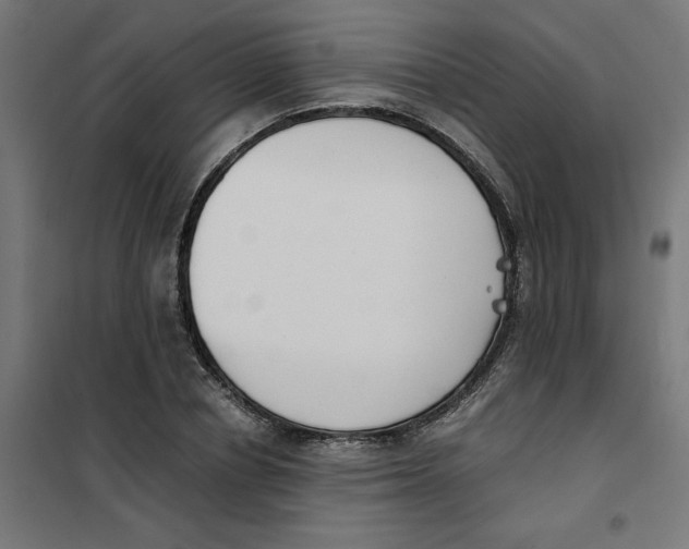 X0000101680834200808071107