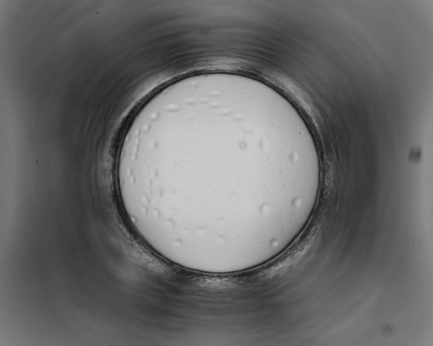 X0000101680835200808071107