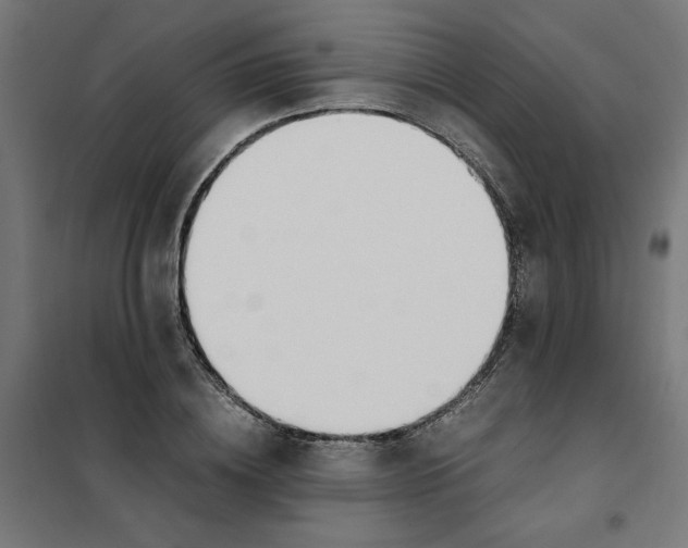 X0000101680836200808071107