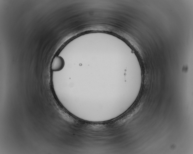 X0000101680837200808071107