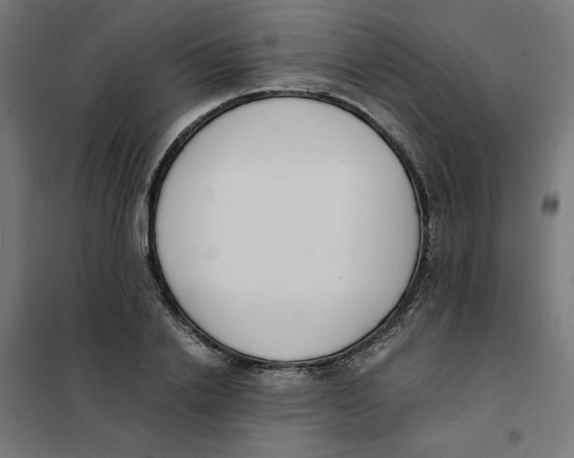 X0000101680838200808071107