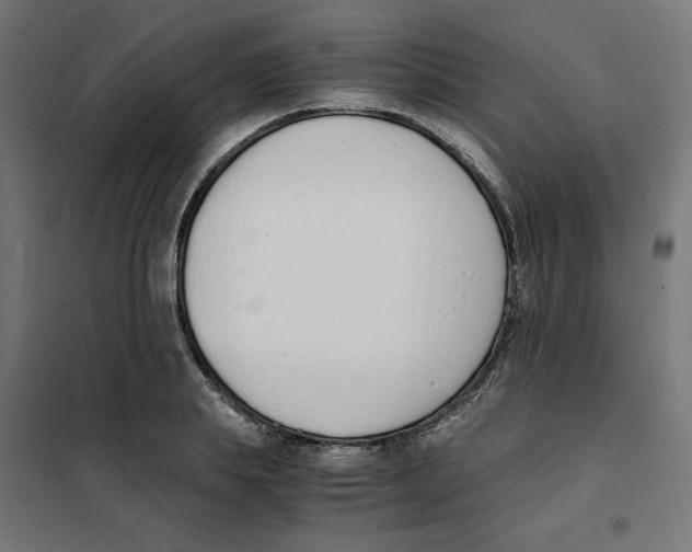 X0000101680839200808071107