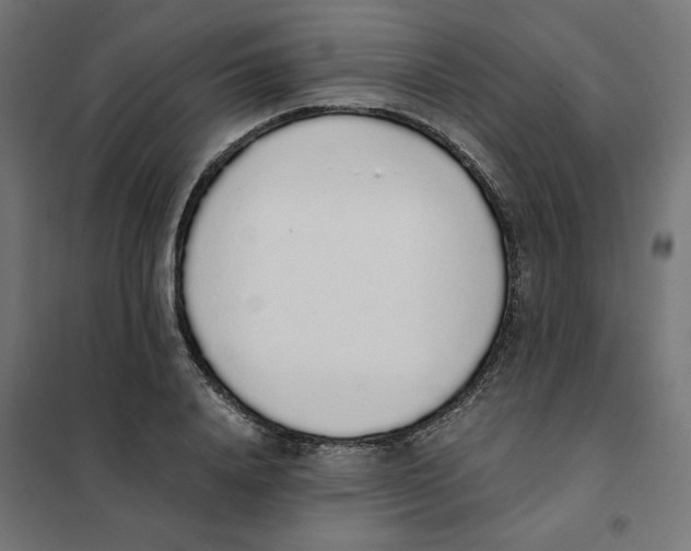 X0000101680840200808071107
