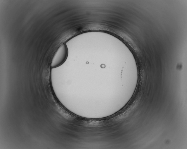 X0000101680841200808071107