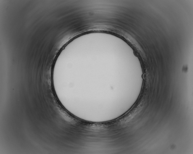X0000101680842200808071107