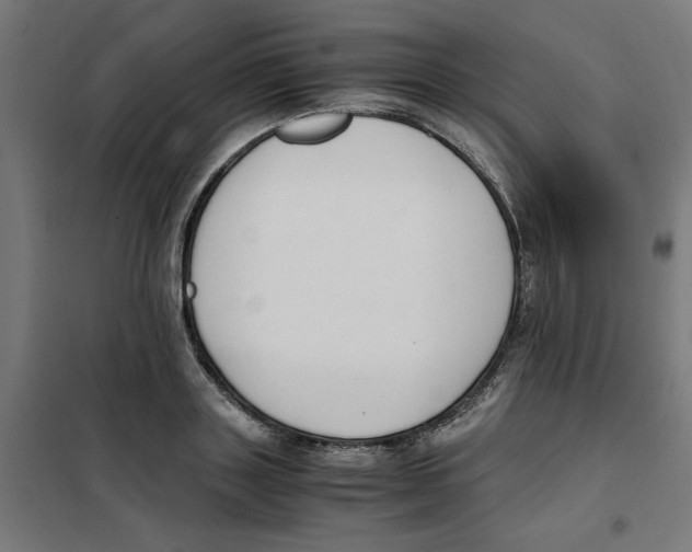X0000101680843200808071107
