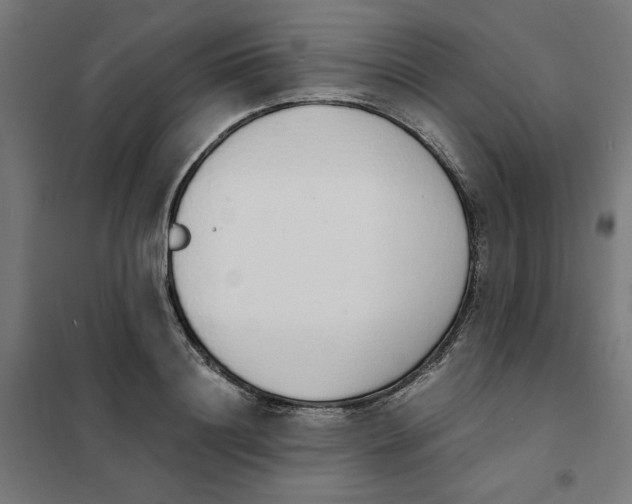 X0000101680844200808071107