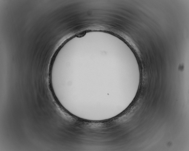 X0000101680845200808071107