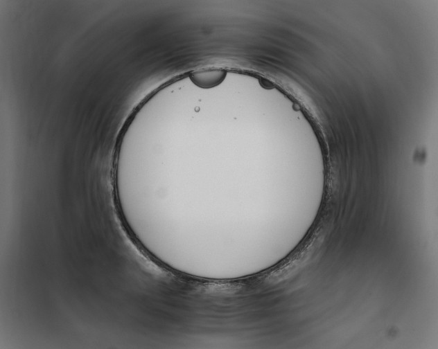 X0000101680847200808071107