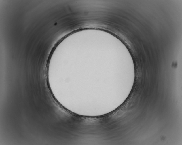 X0000101680848200808071107