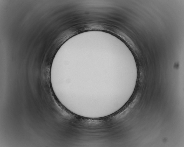 X0000101680849200808071107