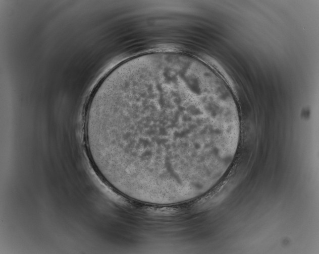 X0000101680851200808071107