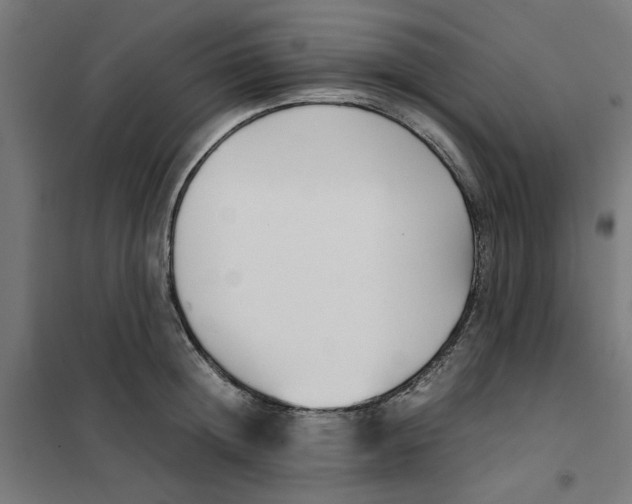 X0000101680852200808071107