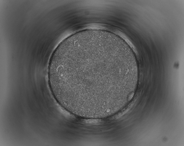 X0000101680853200808071107