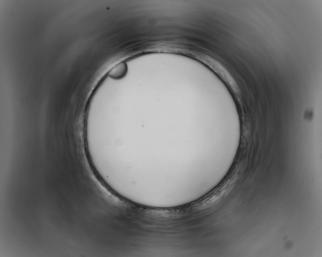 X0000101680855200808071107