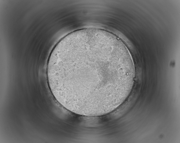 X0000101680856200808071107