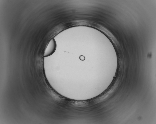 X0000101680857200808071107