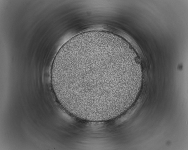 X0000101680858200808071107