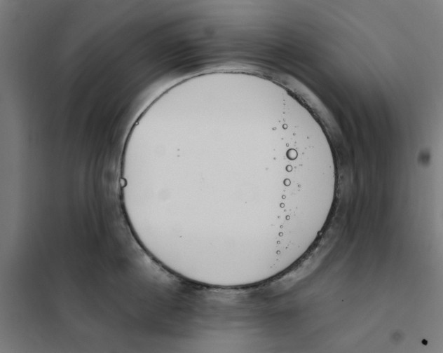 X0000101680860200808071107