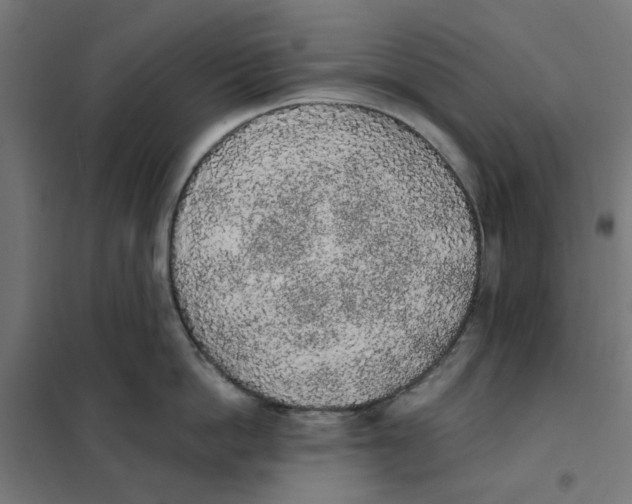 X0000101680862200808071107