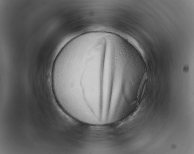 X0000101680863200808071107