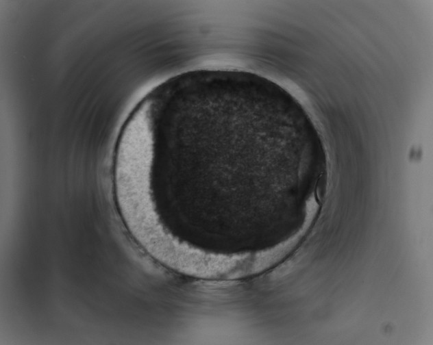 X0000101680864200808071107