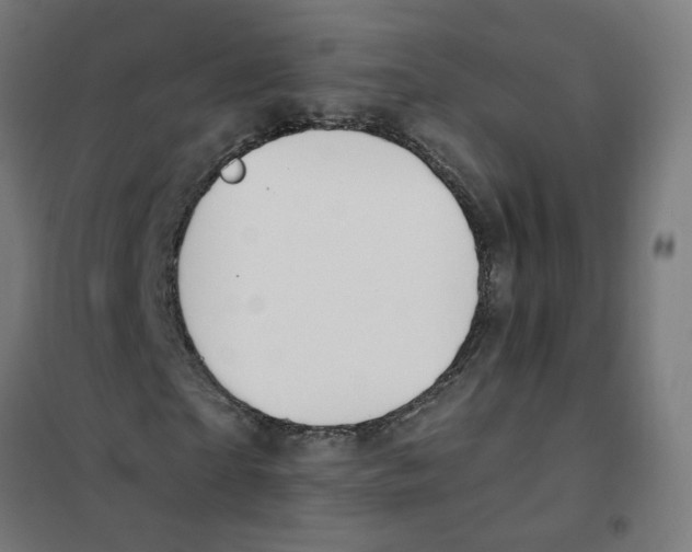 X0000101680865200808071107