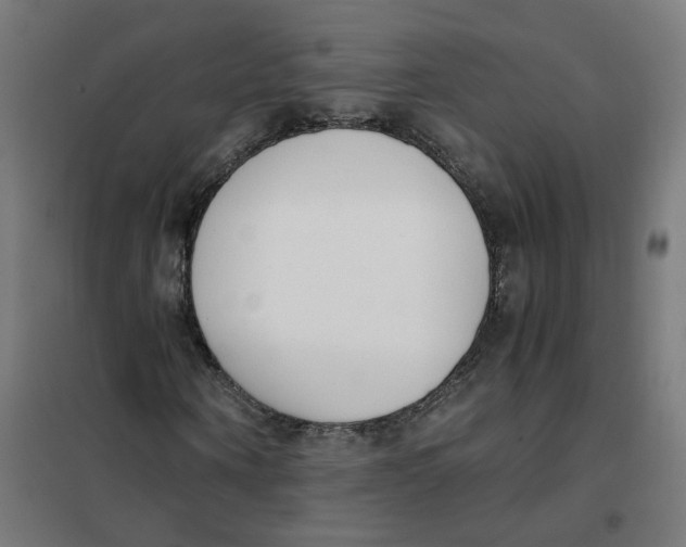 X0000101680866200808071107