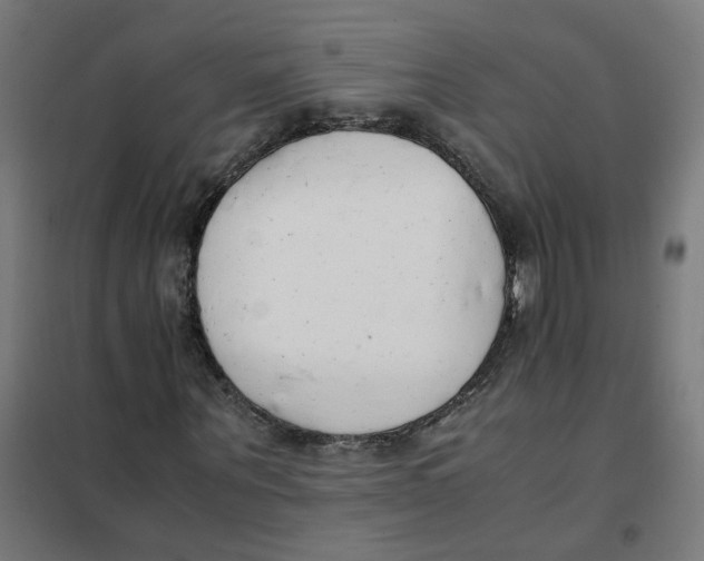 X0000101680867200808071107