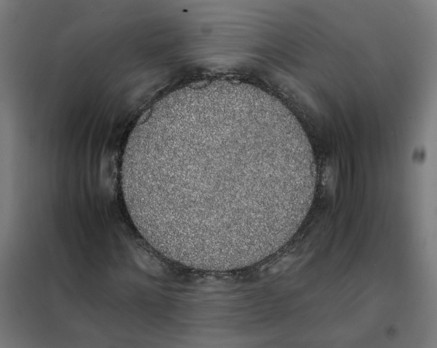 X0000101680868200808071107