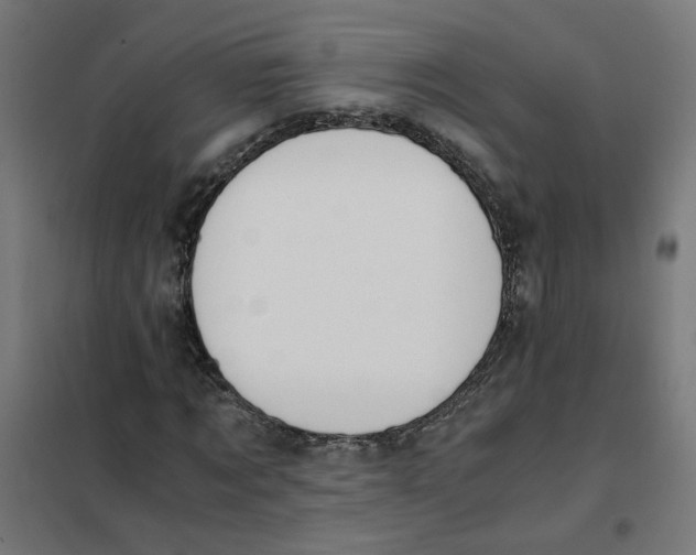 X0000101680869200808071107