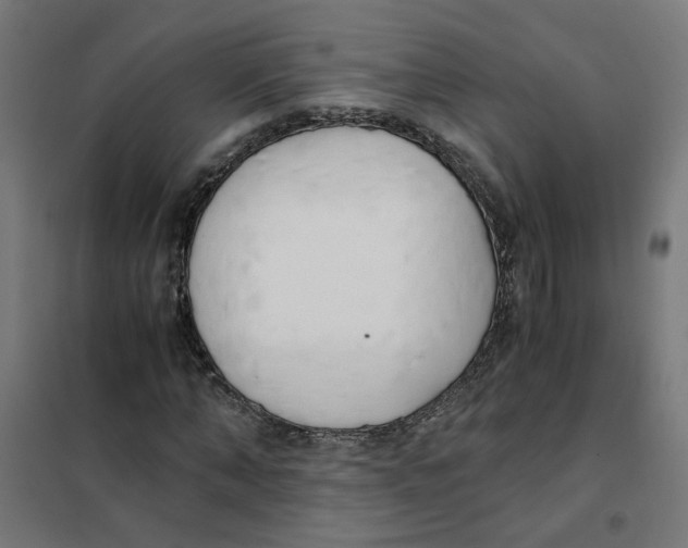 X0000101680870200808071107