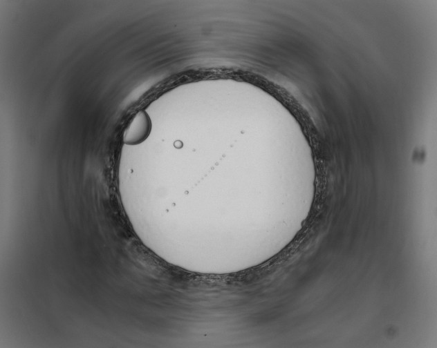 X0000101680871200808071107