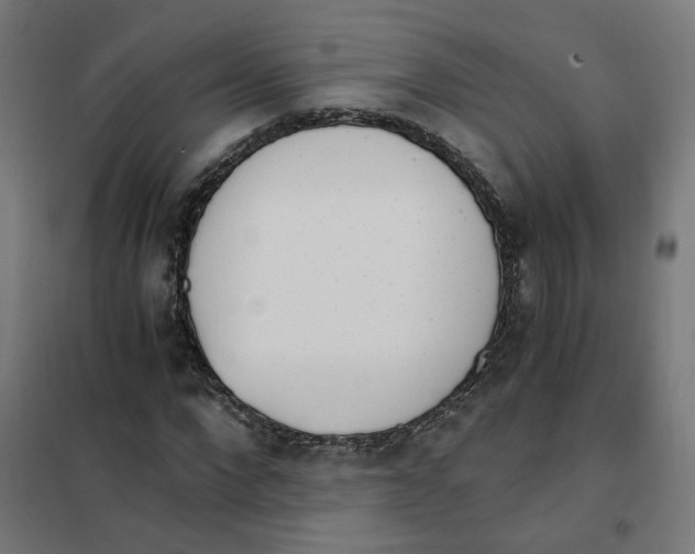 X0000101680872200808071107