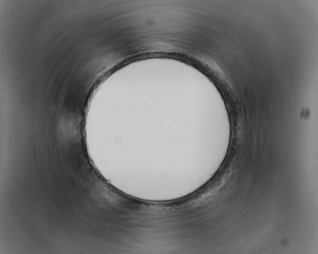 X0000101680873200808071107