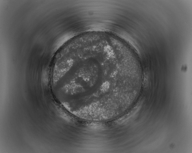 X0000101680874200808071107