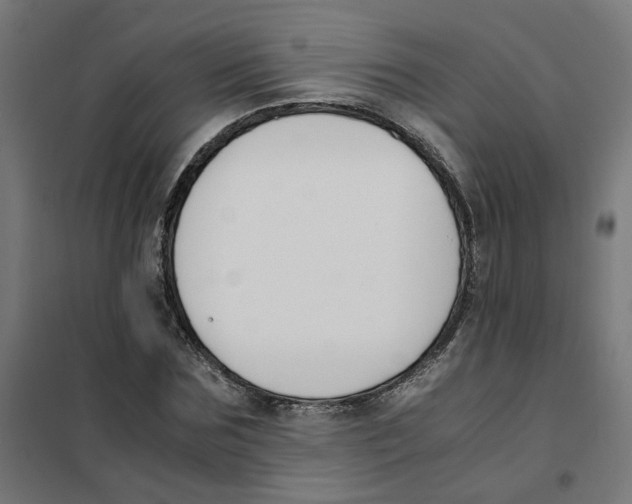 X0000101680875200808071107