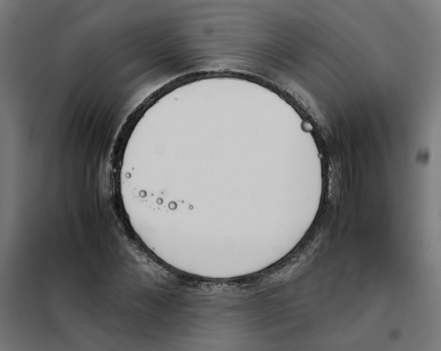 X0000101680876200808071106