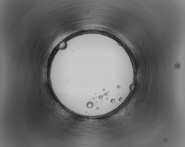 X0000101680877200808071106