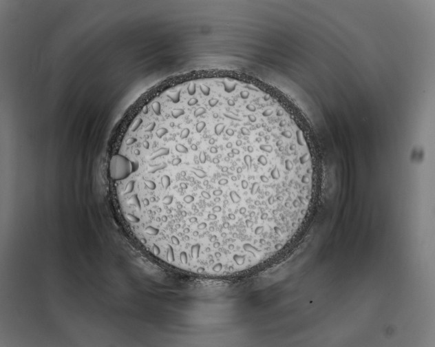X0000101680878200808071106