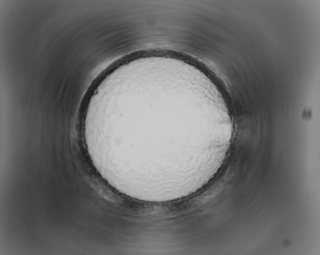 X0000101680879200808071106