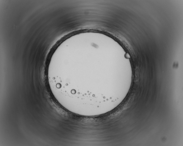 X0000101680880200808071106