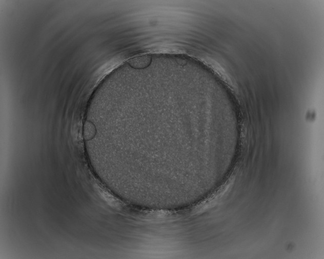 X0000101680881200808071106