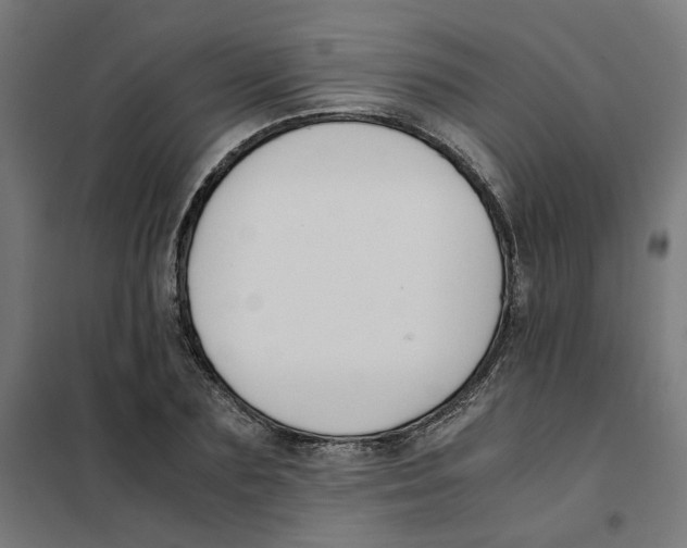 X0000101680883200808071106