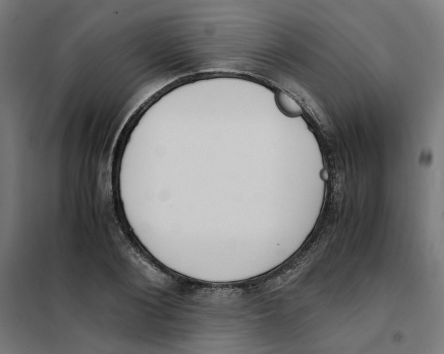 X0000101680884200808071106