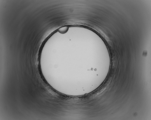 X0000101680885200808071106