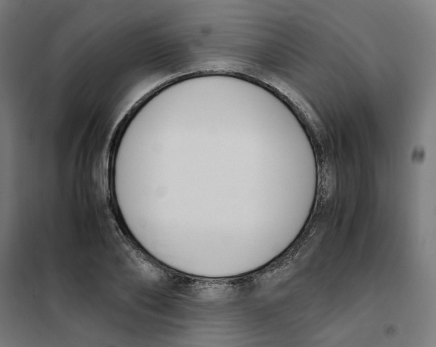 X0000101680886200808071106