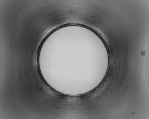 X0000101680887200808071106