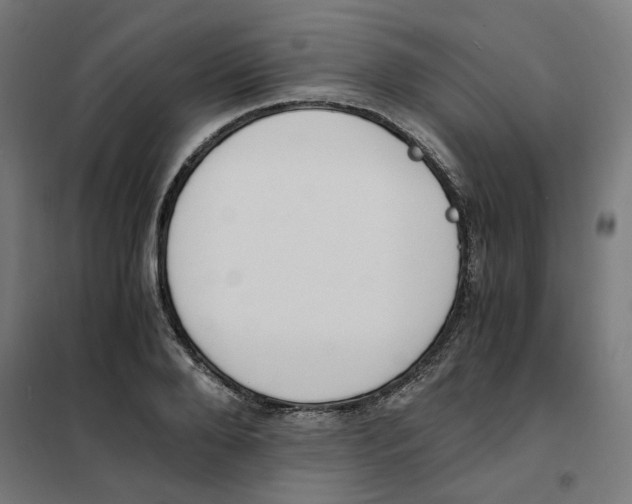 X0000101680888200808071106